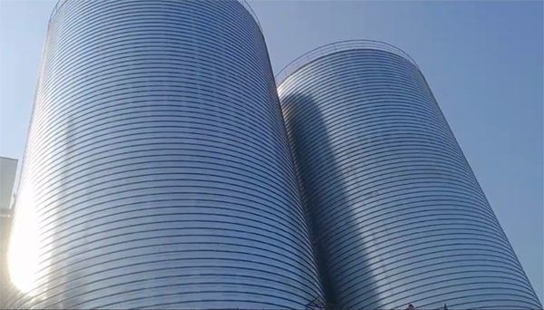 闽侯2座混凝土高架卷板仓